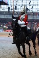 Cavalry - 00322